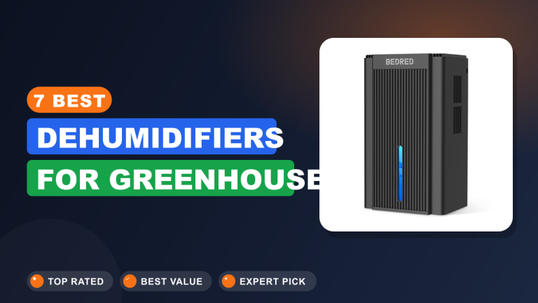 7 Best Dehumidifiers for Greenhouse