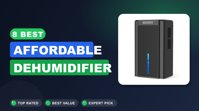 8 Best Affordable Dehumidifier
