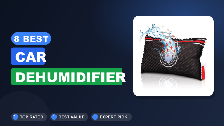 8 Best Car Dehumidifier