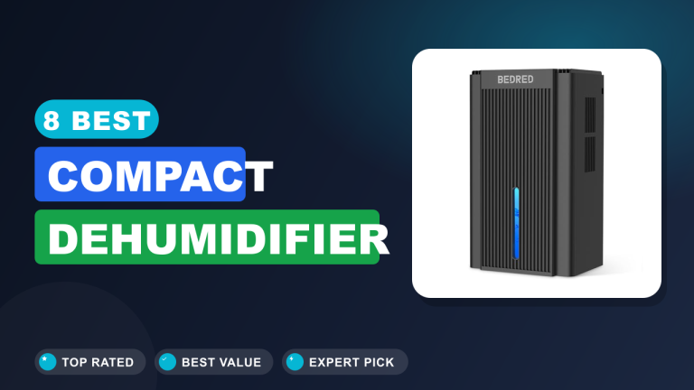 8 Best Compact Dehumidifier