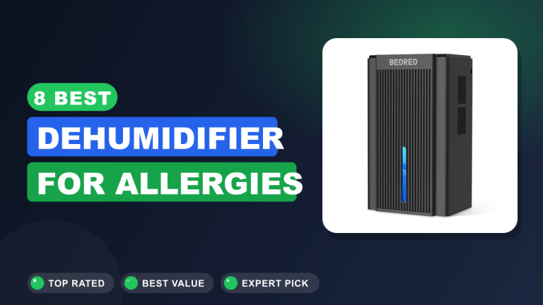 8 Best Dehumidifier for Allergies