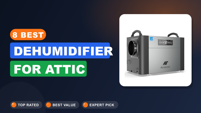 8 Best Dehumidifier for Attic