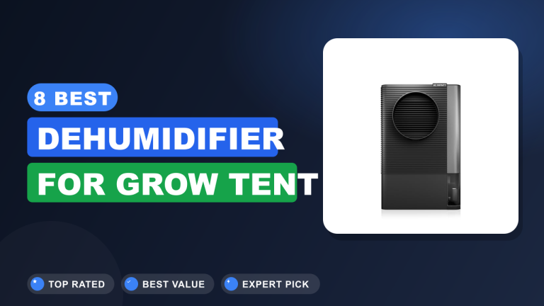 8 Best Dehumidifier for Grow Tent