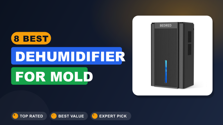8 Best Dehumidifier for Mold