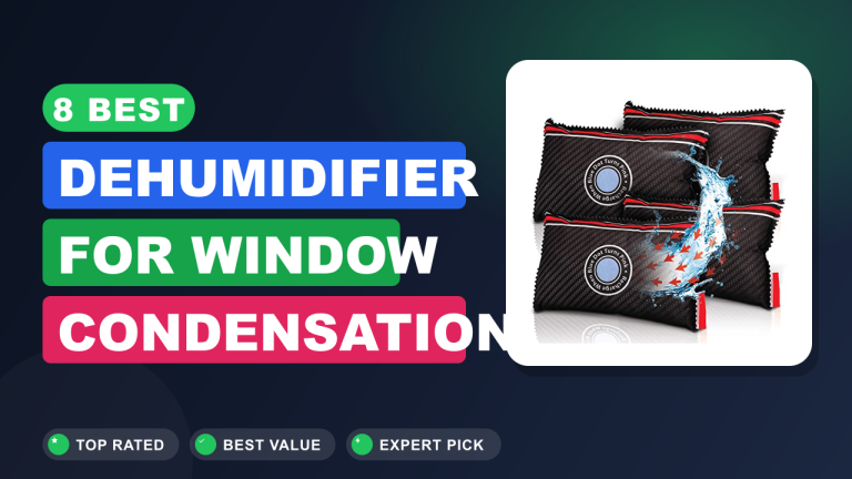 8 Best Dehumidifier for Window Condensation