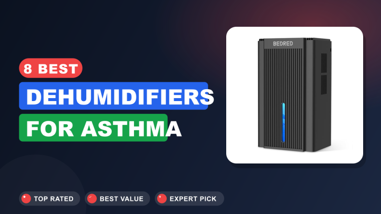 8 Best Dehumidifiers for Asthma
