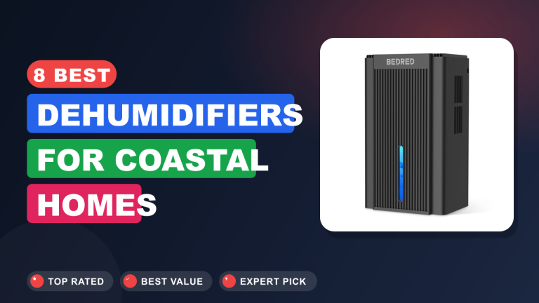 8 Best Dehumidifiers for Coastal Homes