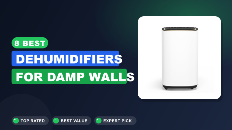 8 Best Dehumidifiers for Damp Walls