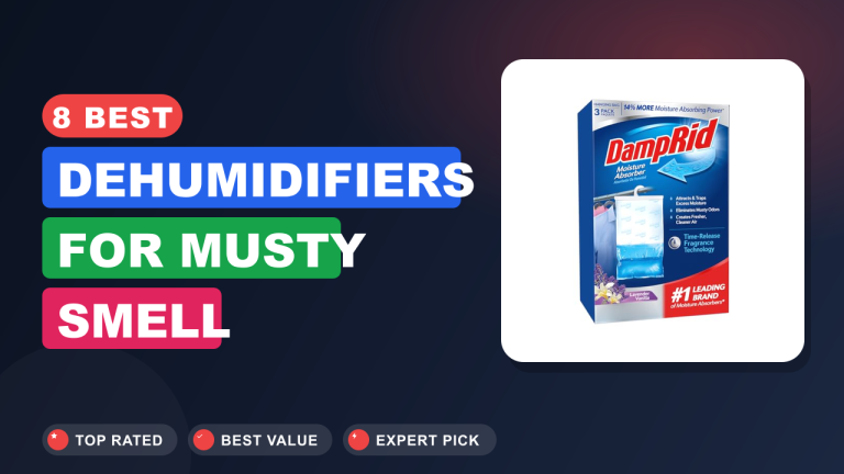 8 Best Dehumidifiers for Musty Smell