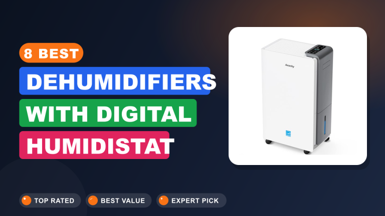 8 Best Dehumidifiers With Digital Humidistat
