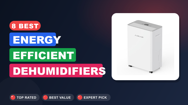 8 Best Energy Efficient Dehumidifiers