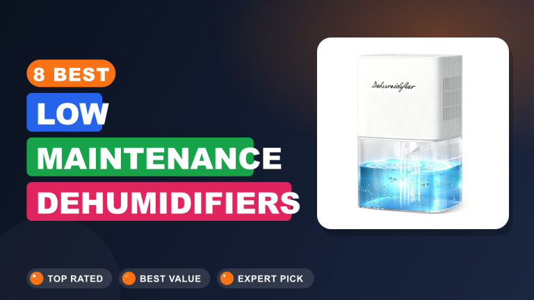 8 Best Low Maintenance Dehumidifiers
