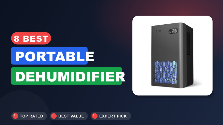 8 Best Portable Dehumidifier