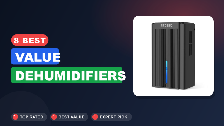 8 Best Value Dehumidifiers