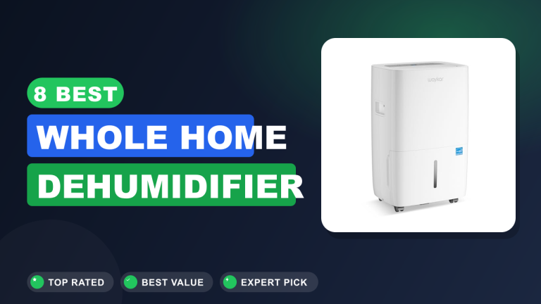 8 Best Whole Home Dehumidifier