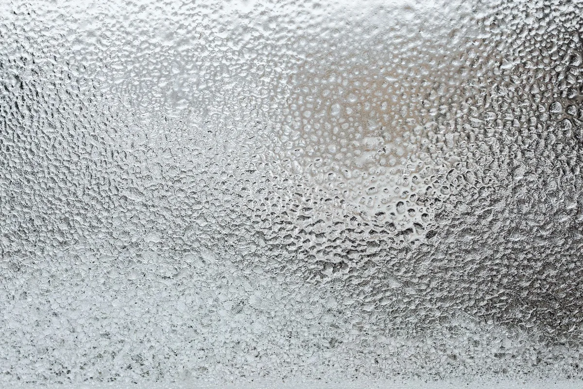 dehumidifier not turning on won't start