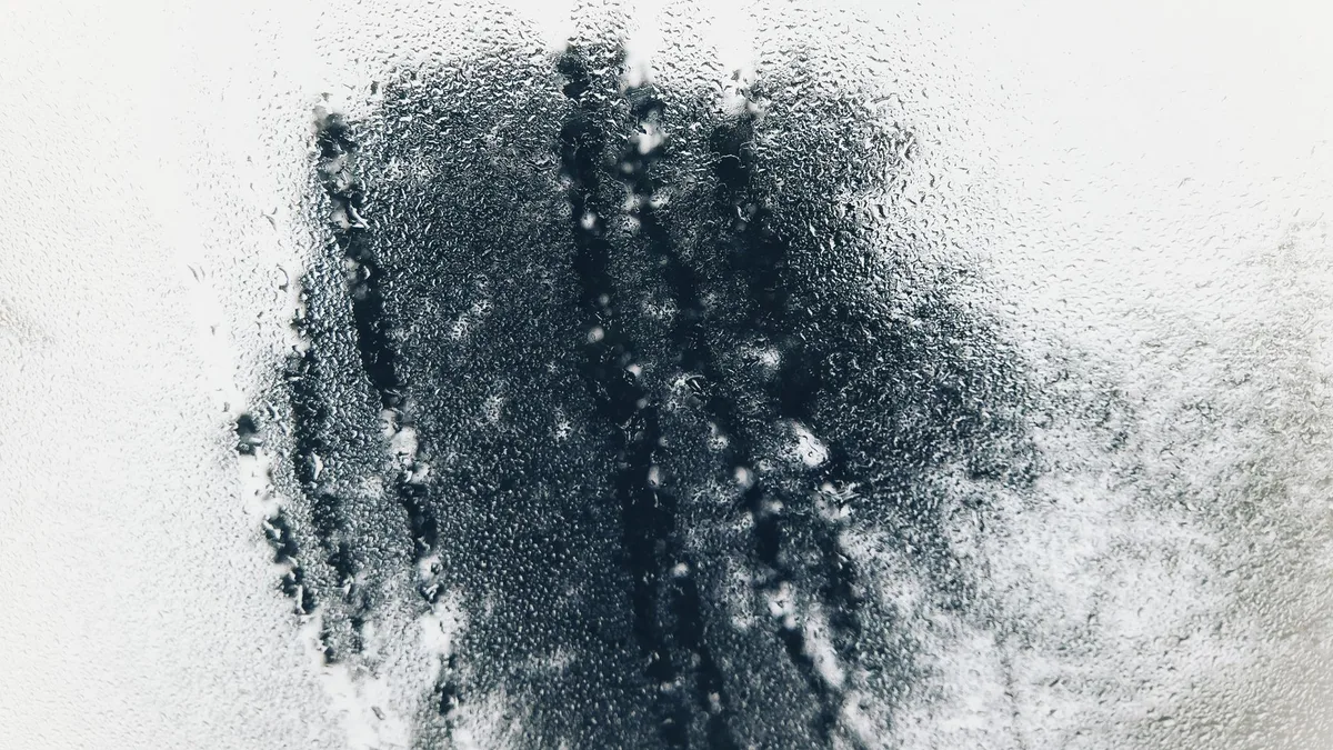 excess humidity causes asthma triggers