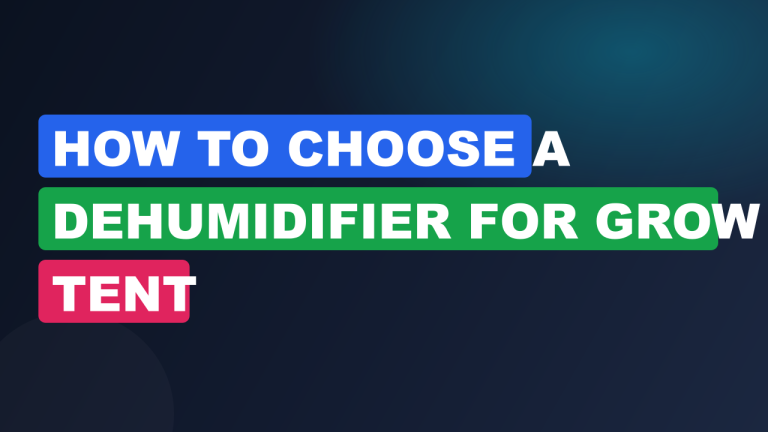 How to Choose a Dehumidifier for Grow Tent