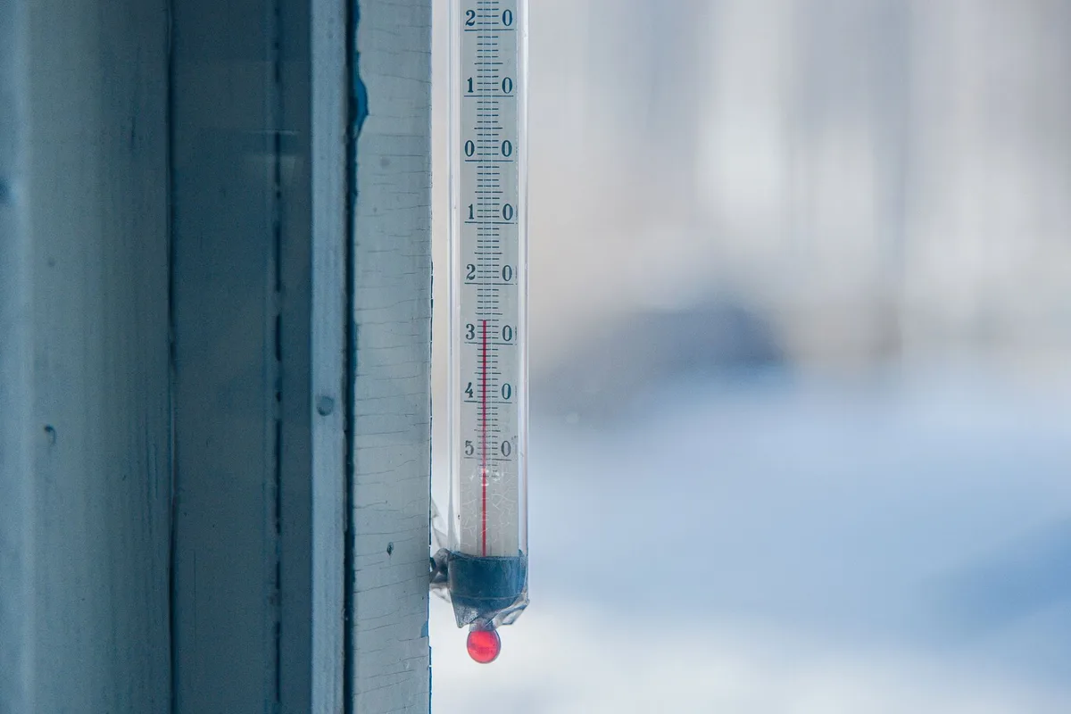 meat thermometer